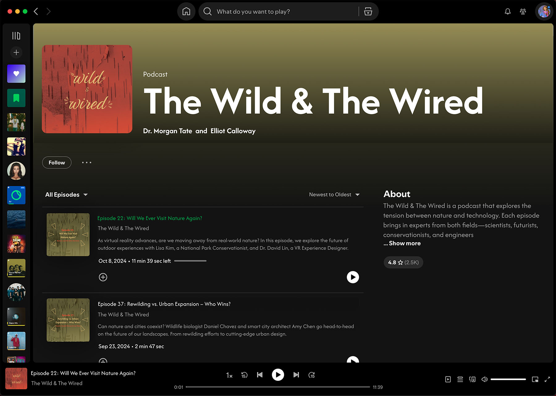 Spotify copy