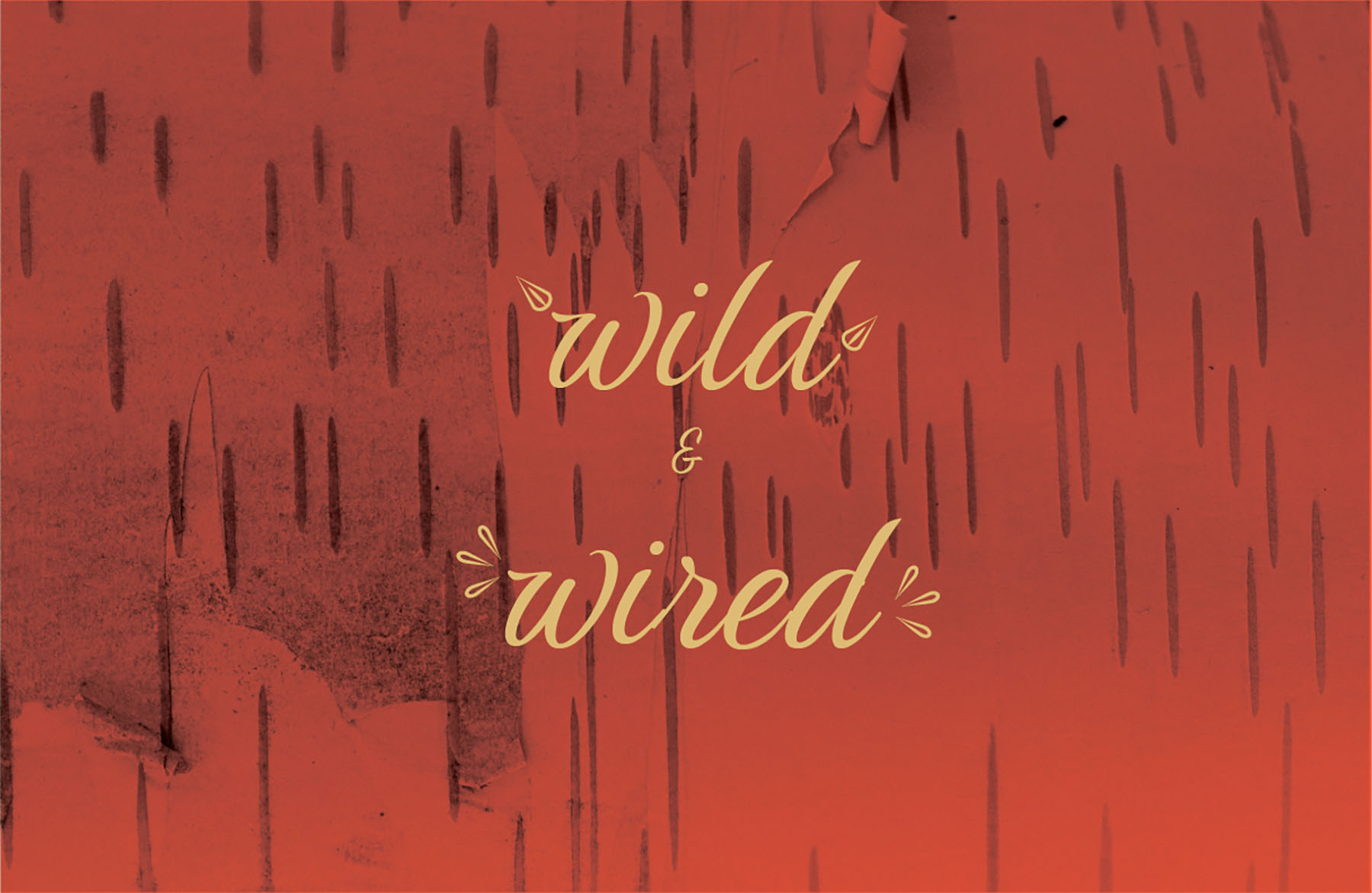 header2ww copy header2ww copy